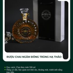 Rượu chai ngâm đông trùng hạ thảo