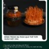 Đông trùng hạ thảo quả thể tươi ngâm mật ong
