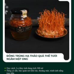 Đông trùng hạ thảo quả thể tươi ngâm mật ong