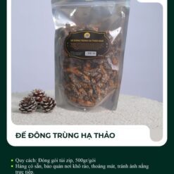 Đế đông trùng hạ thảo