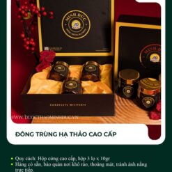 Đông trùng hạ thảo cao cấp