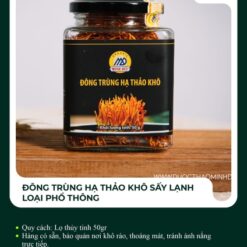 Đông trùng hạ thảo khô sấy lạnh loại phổ thông
